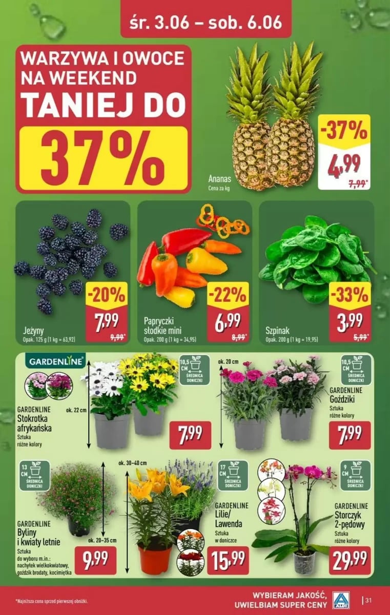 Strona 31 z gazetki Aldi