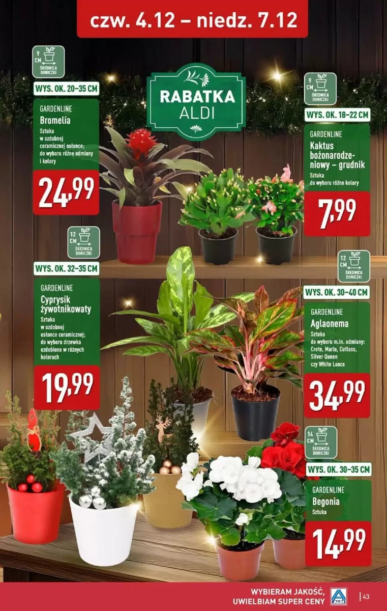 Strona 43 z gazetki Aldi