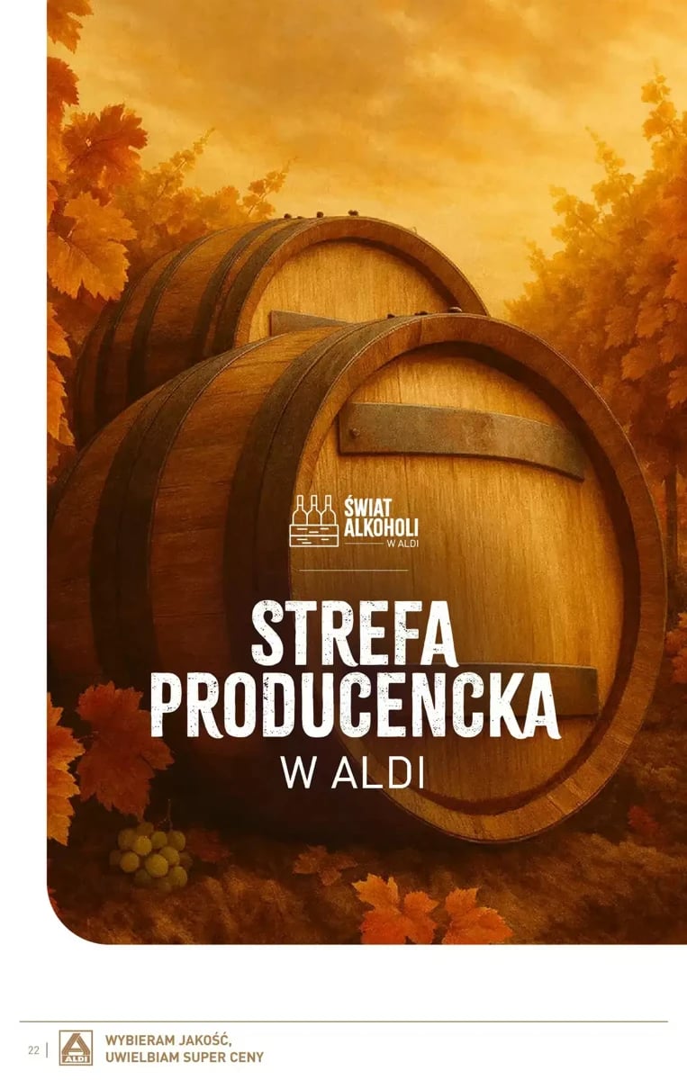 Strona 22 z gazetki Aldi