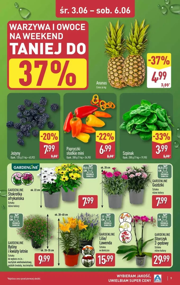 Strona 9 z gazetki Aldi