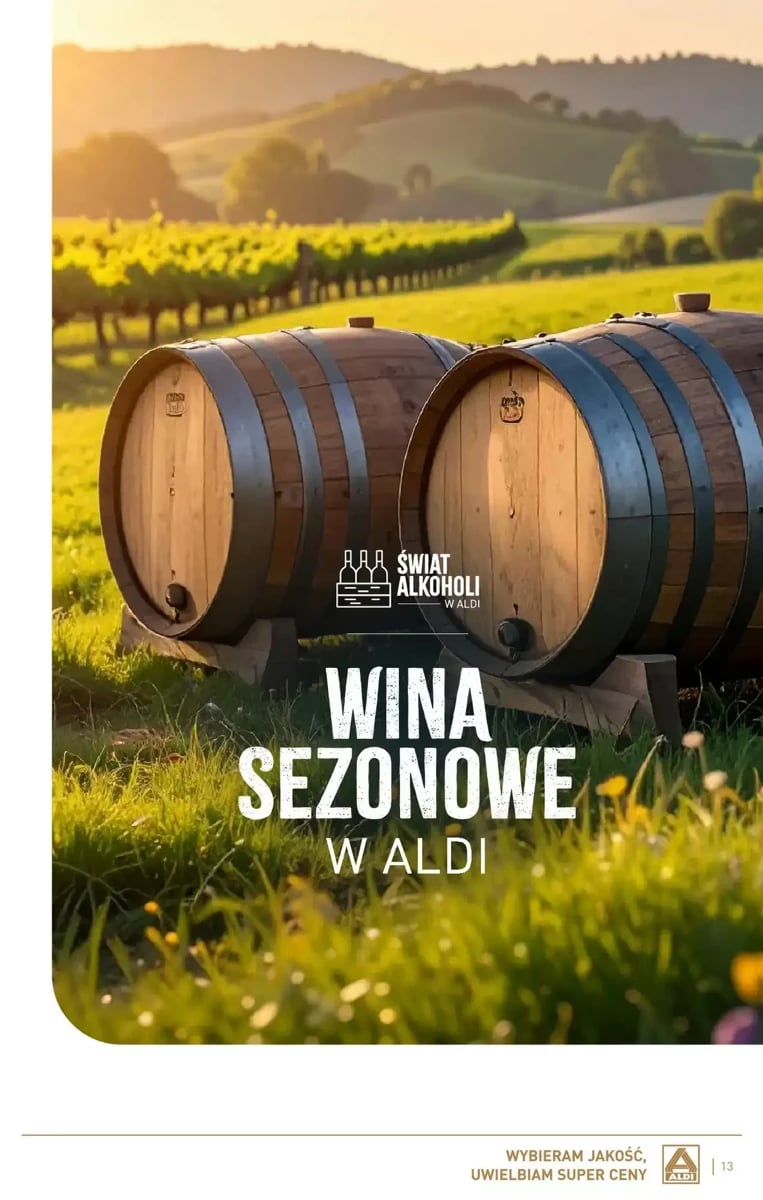 Strona 13 z gazetki Aldi