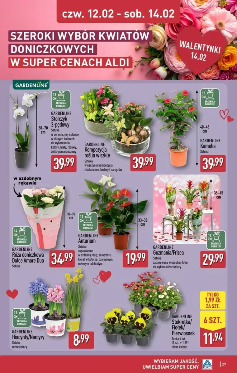 Strona 29 z gazetki Aldi