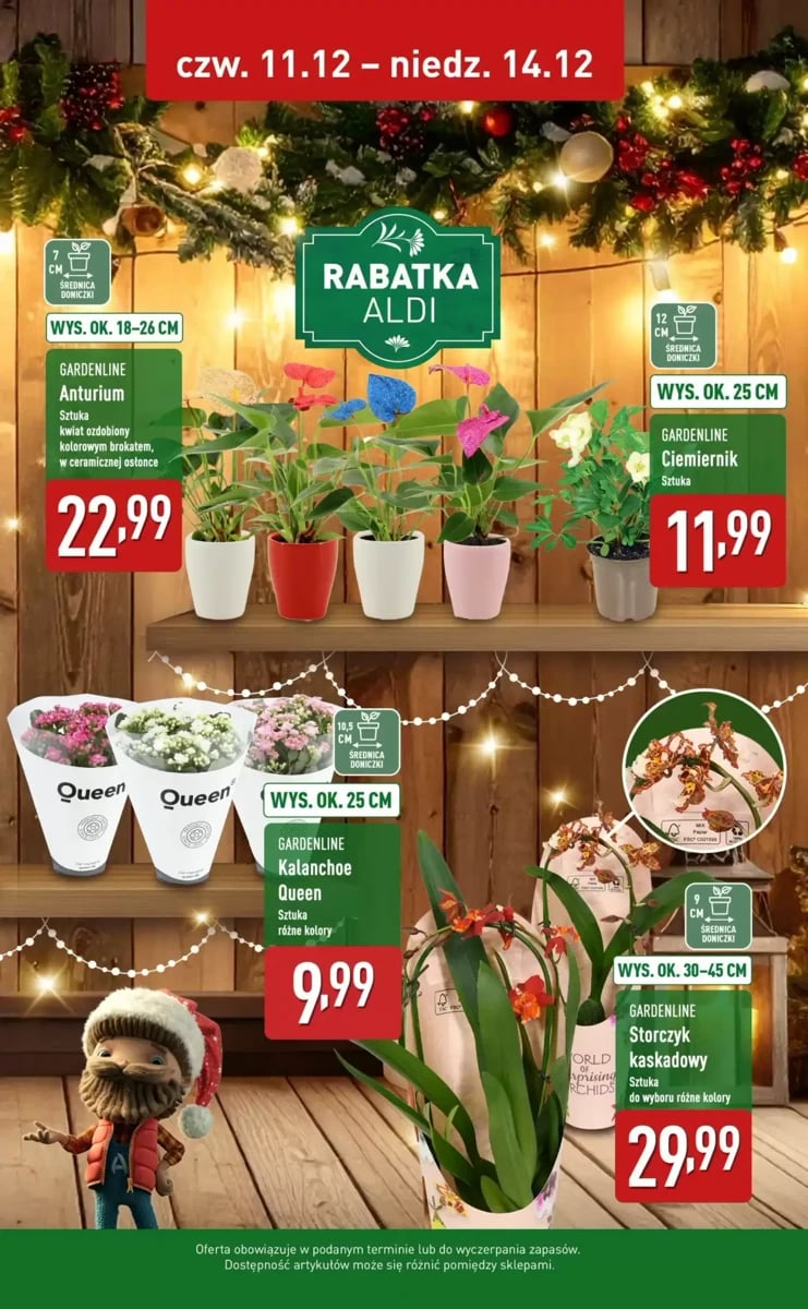 Strona 2 z gazetki Aldi