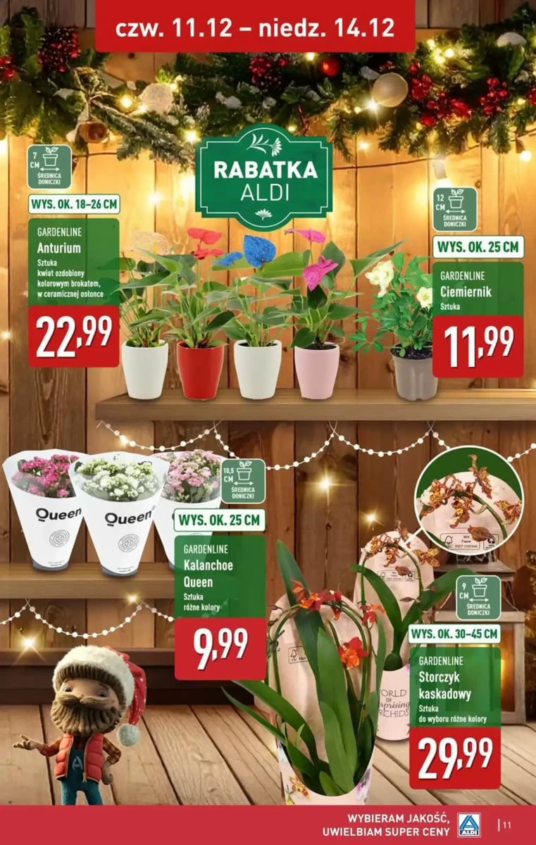 Strona 11 z gazetki Aldi