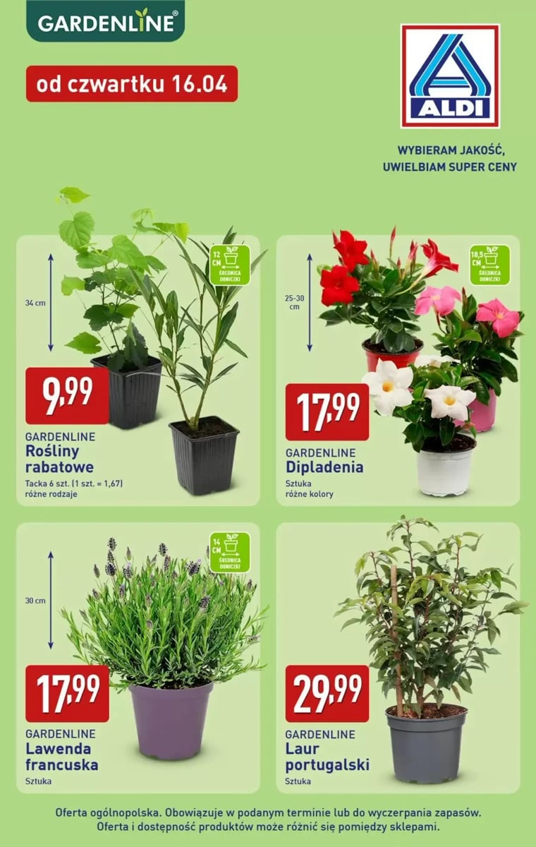 Strona 2 z gazetki Aldi