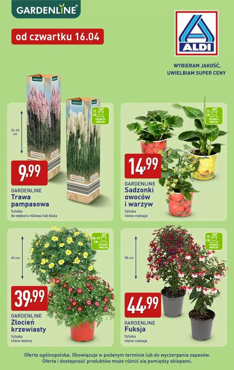 Strona 3 z gazetki Aldi