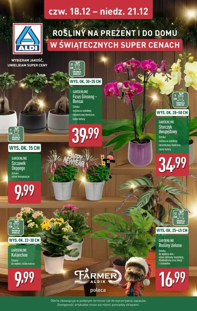 Strona 37 z gazetki Aldi