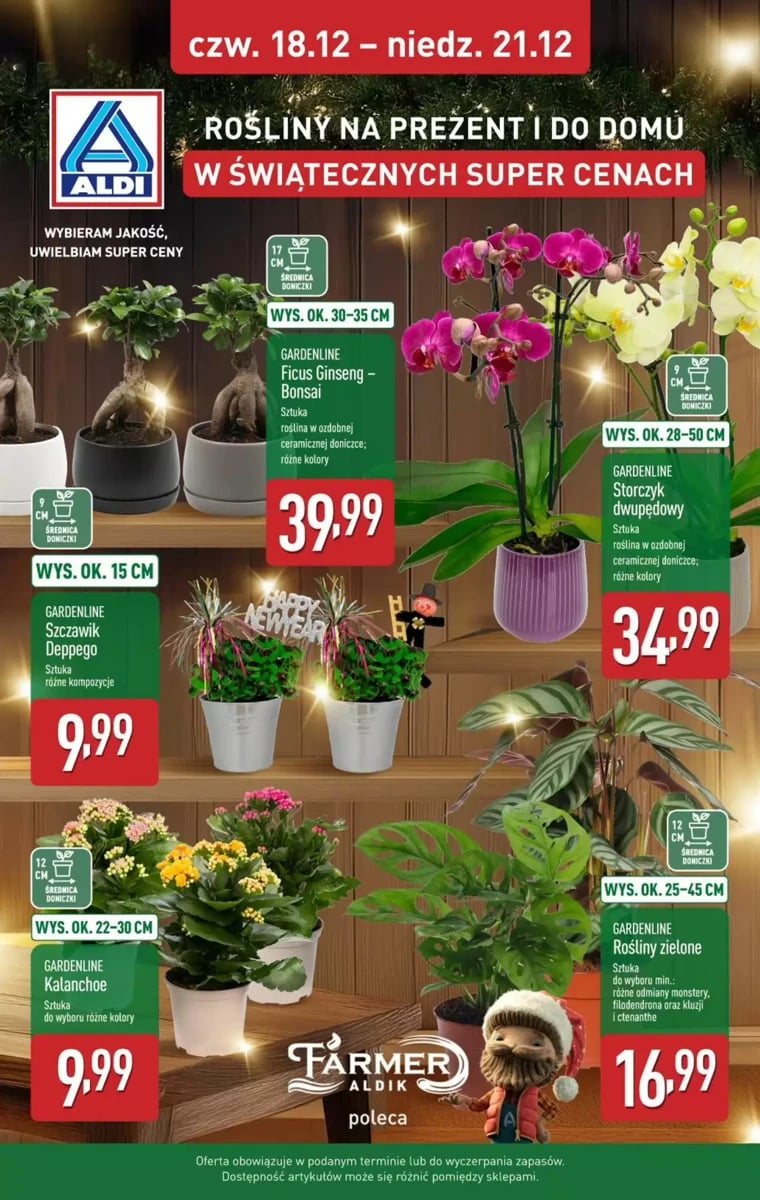 Strona 1 z gazetki Aldi
