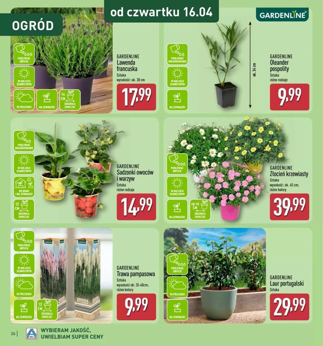 Strona 26 z gazetki Aldi