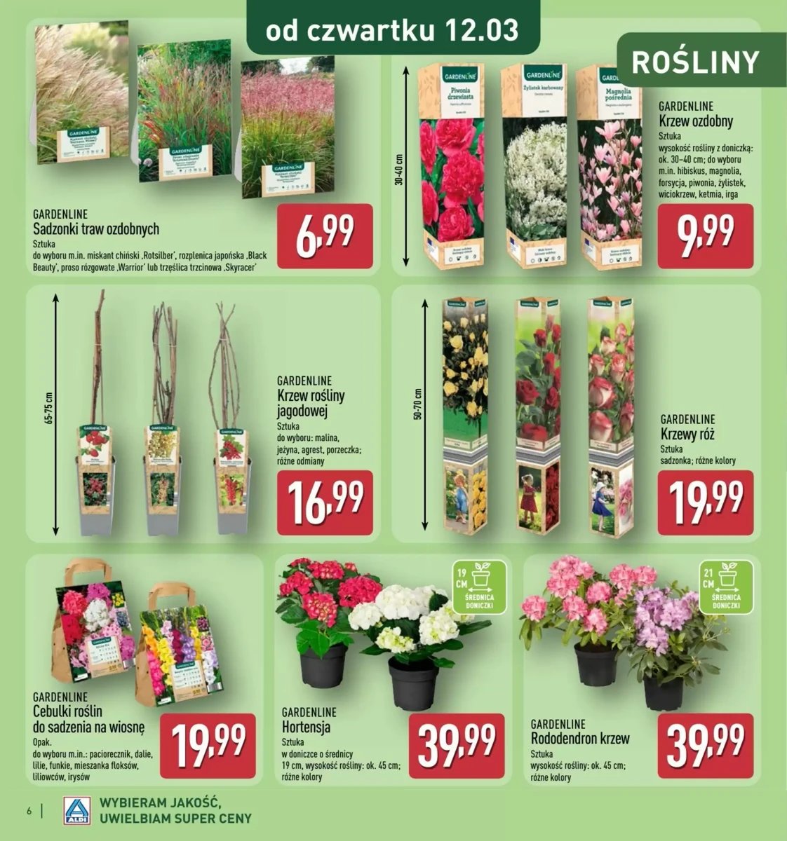 Strona 6 z gazetki Aldi