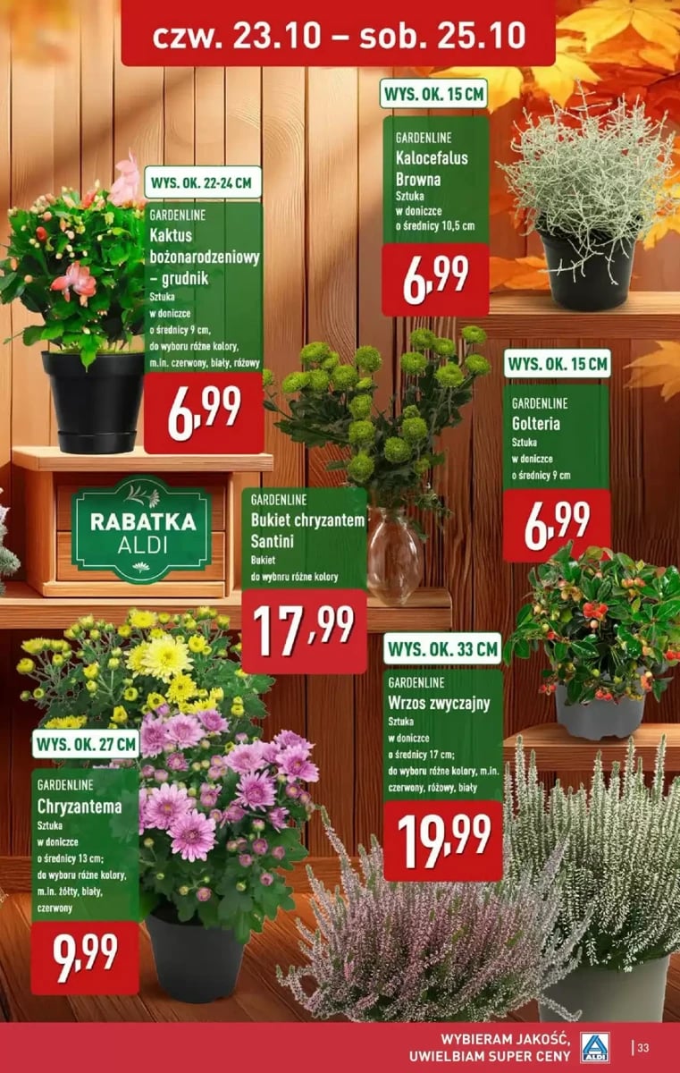 Strona 33 z gazetki Aldi