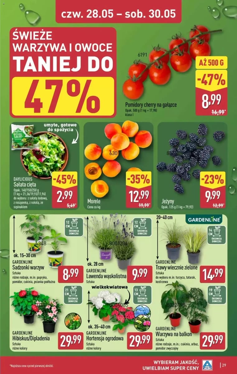 Strona 29 z gazetki Aldi
