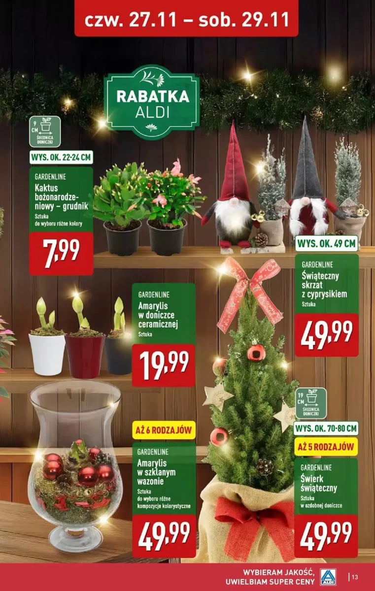Strona 13 z gazetki Aldi