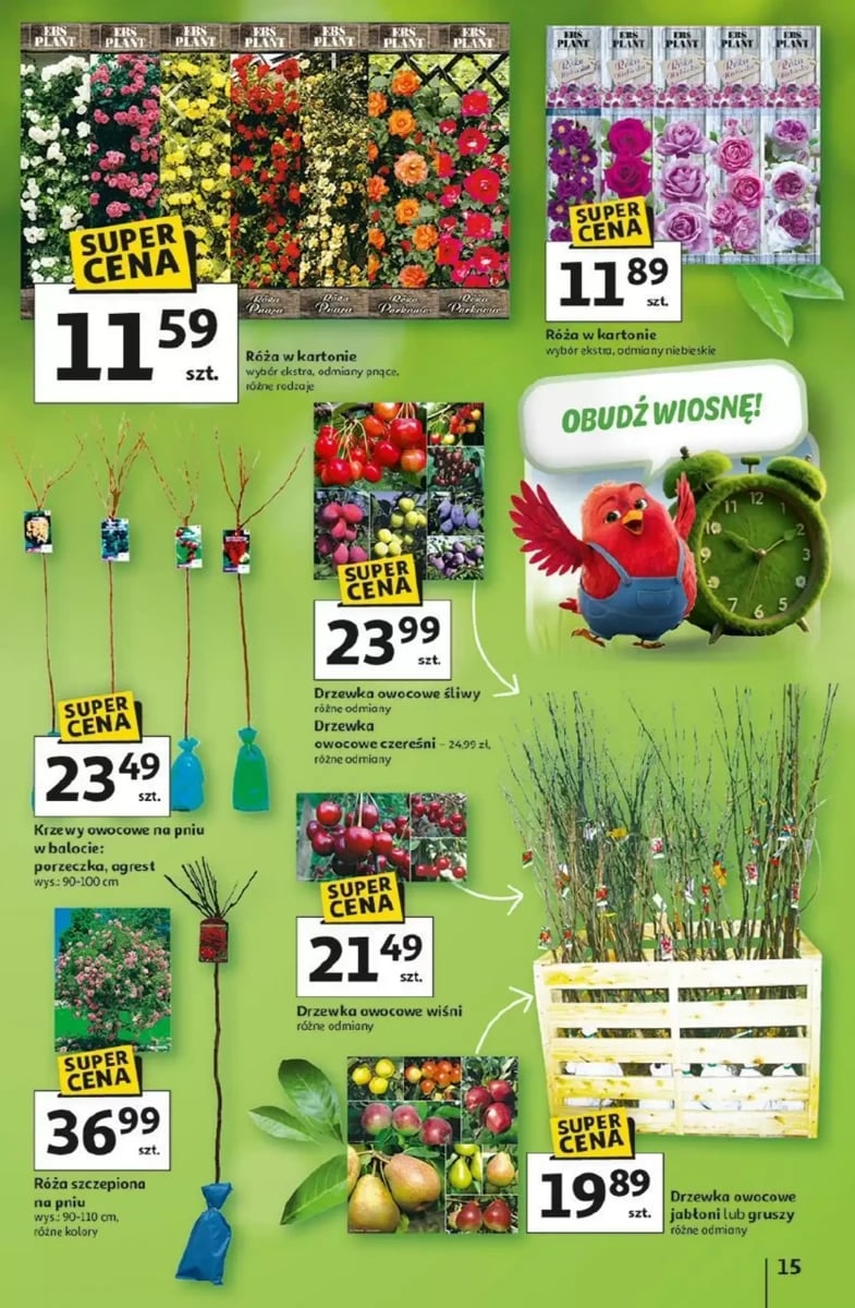 Strona 15 z gazetki Auchan