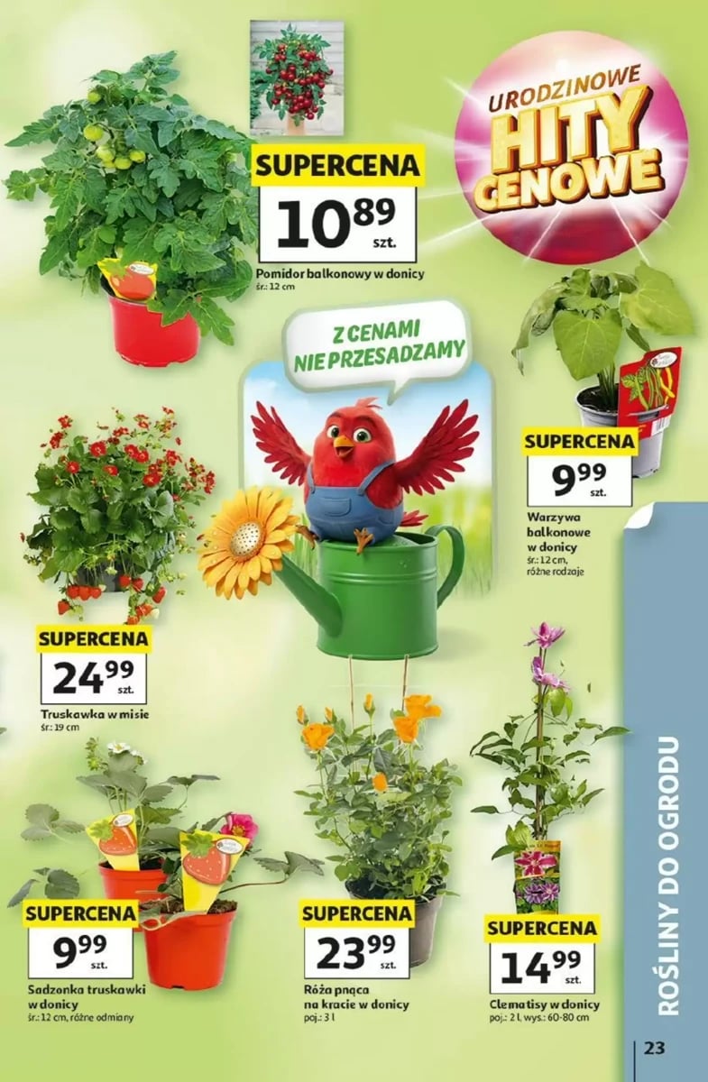 Strona 23 z gazetki Auchan