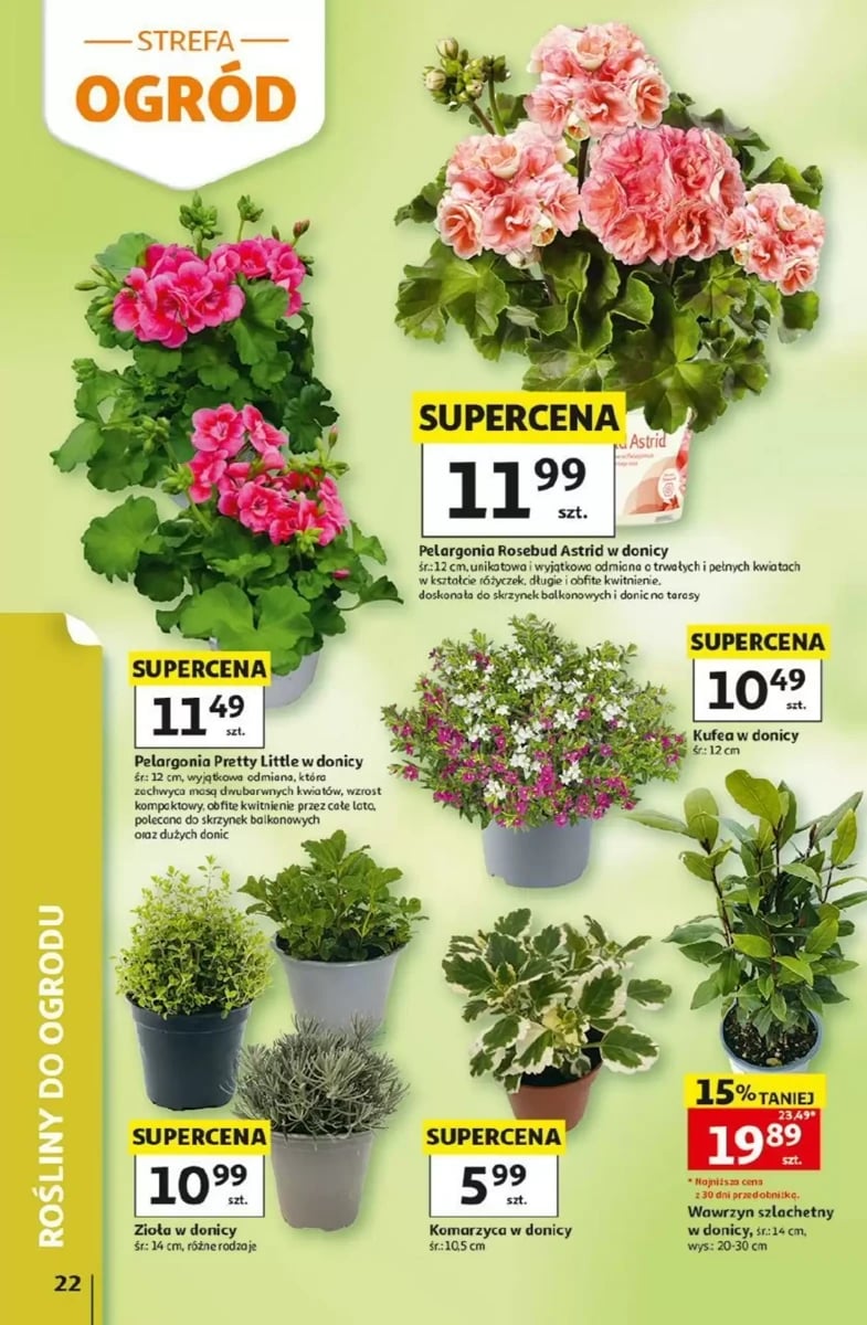 Strona 22 z gazetki Auchan