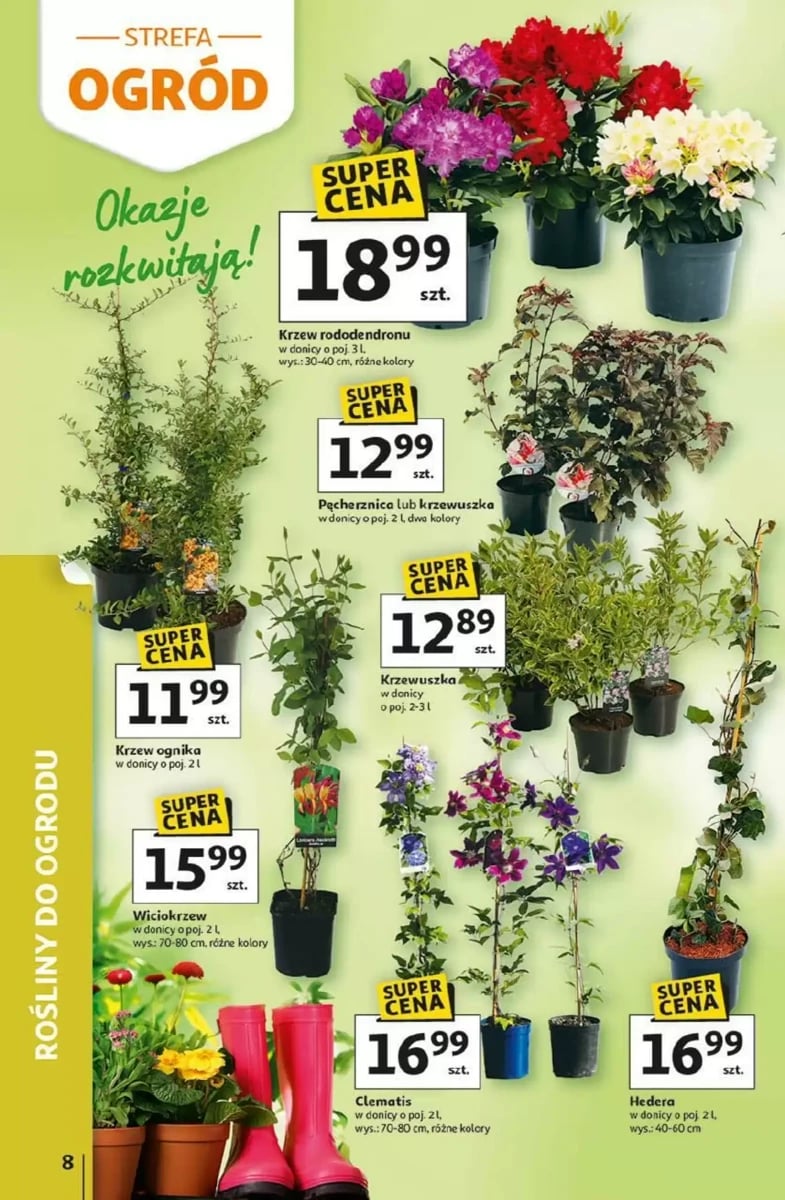 Strona 8 z gazetki Auchan
