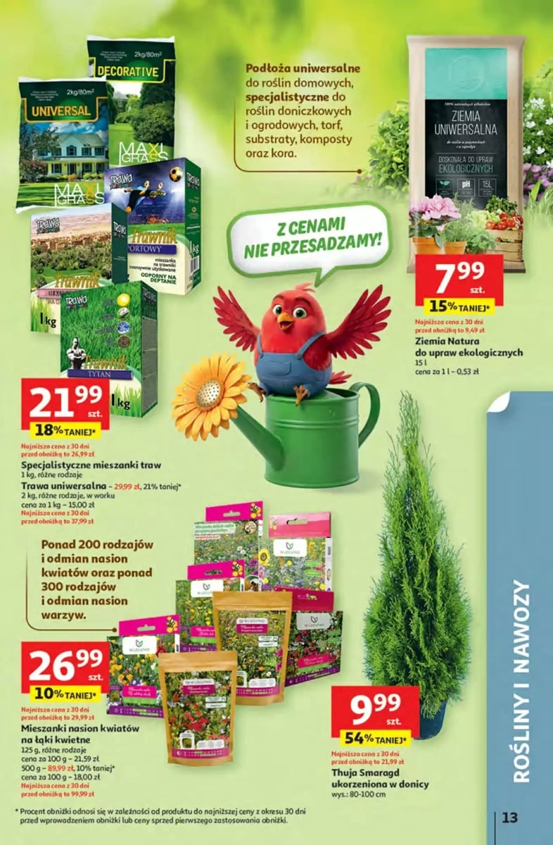 Strona 13 z gazetki Auchan