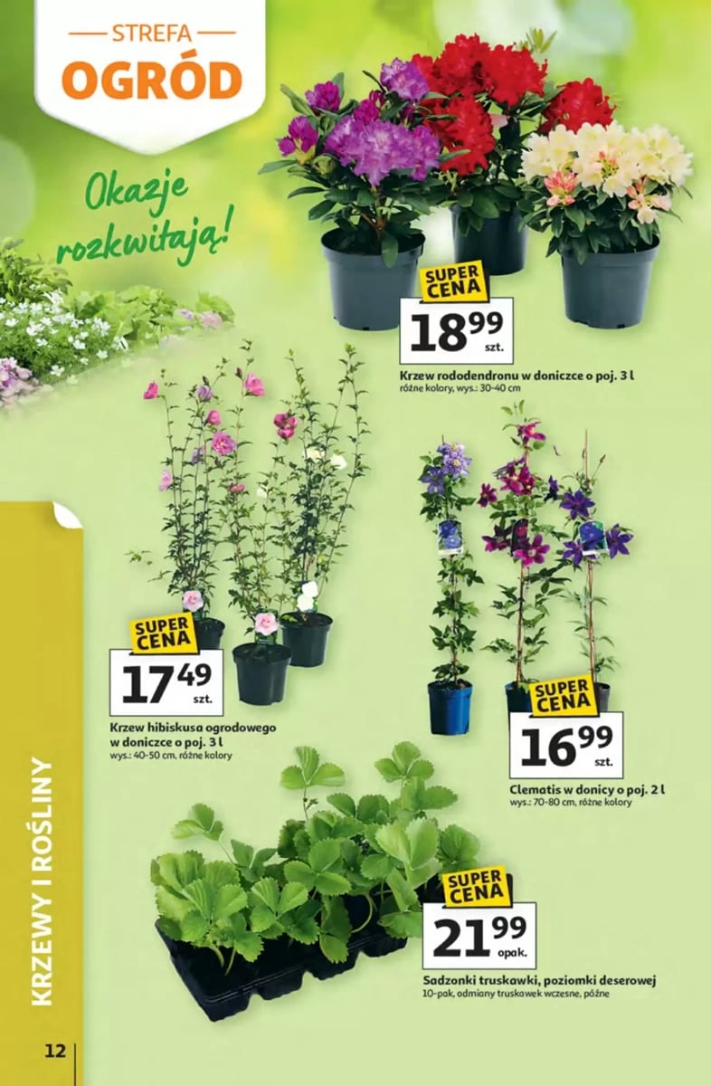 Strona 12 z gazetki Auchan