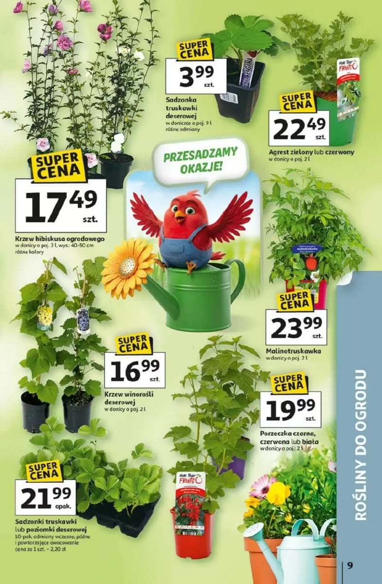 Strona 9 z gazetki Auchan