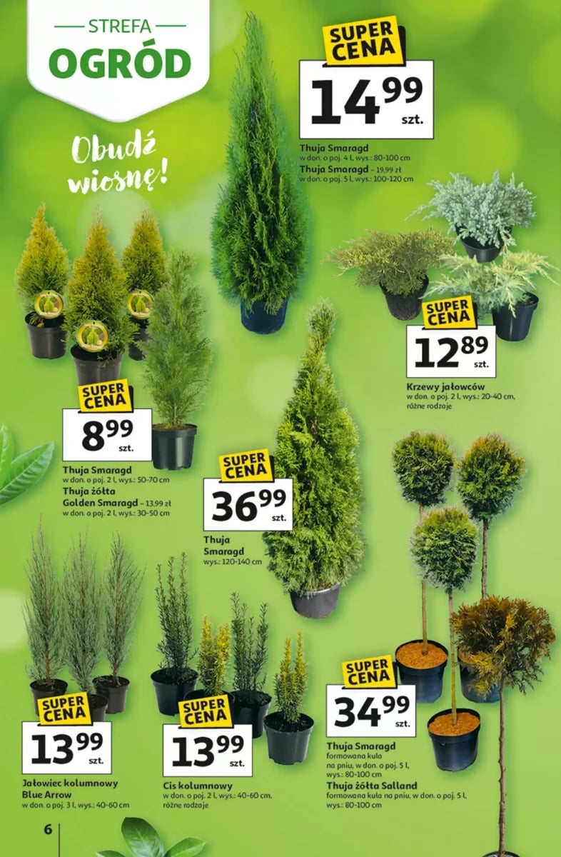 Strona 6 z gazetki Auchan