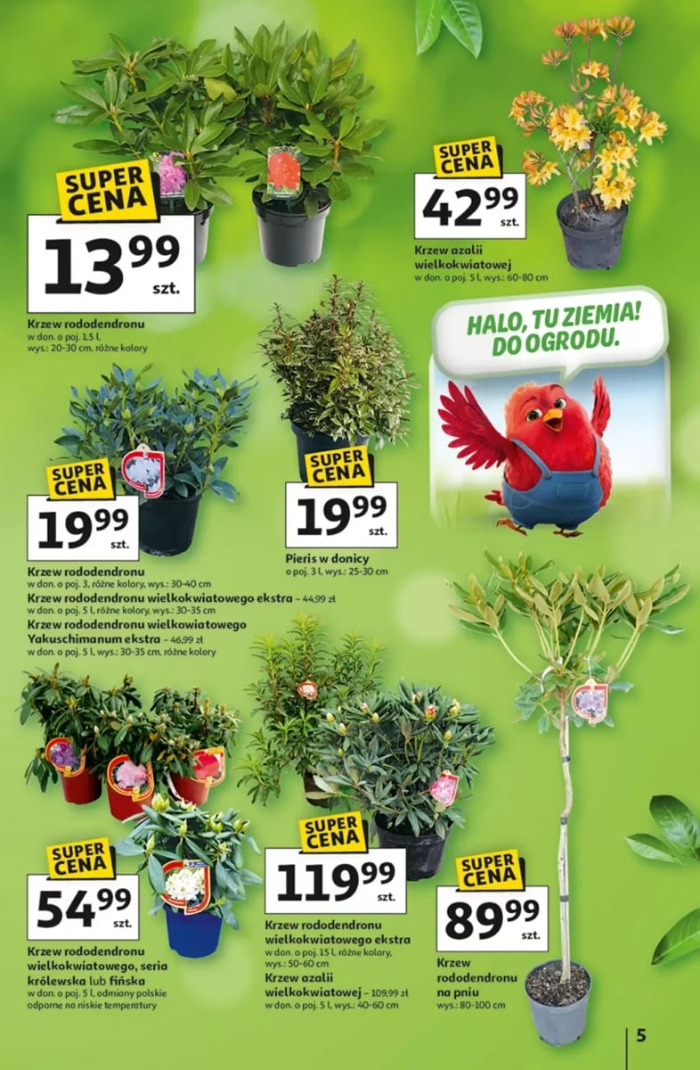 Strona 5 z gazetki Auchan