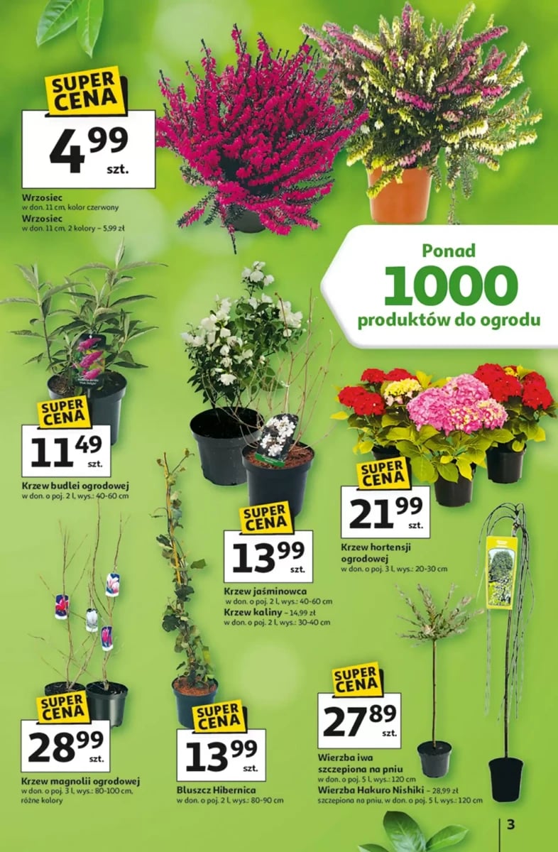 Strona 3 z gazetki Auchan