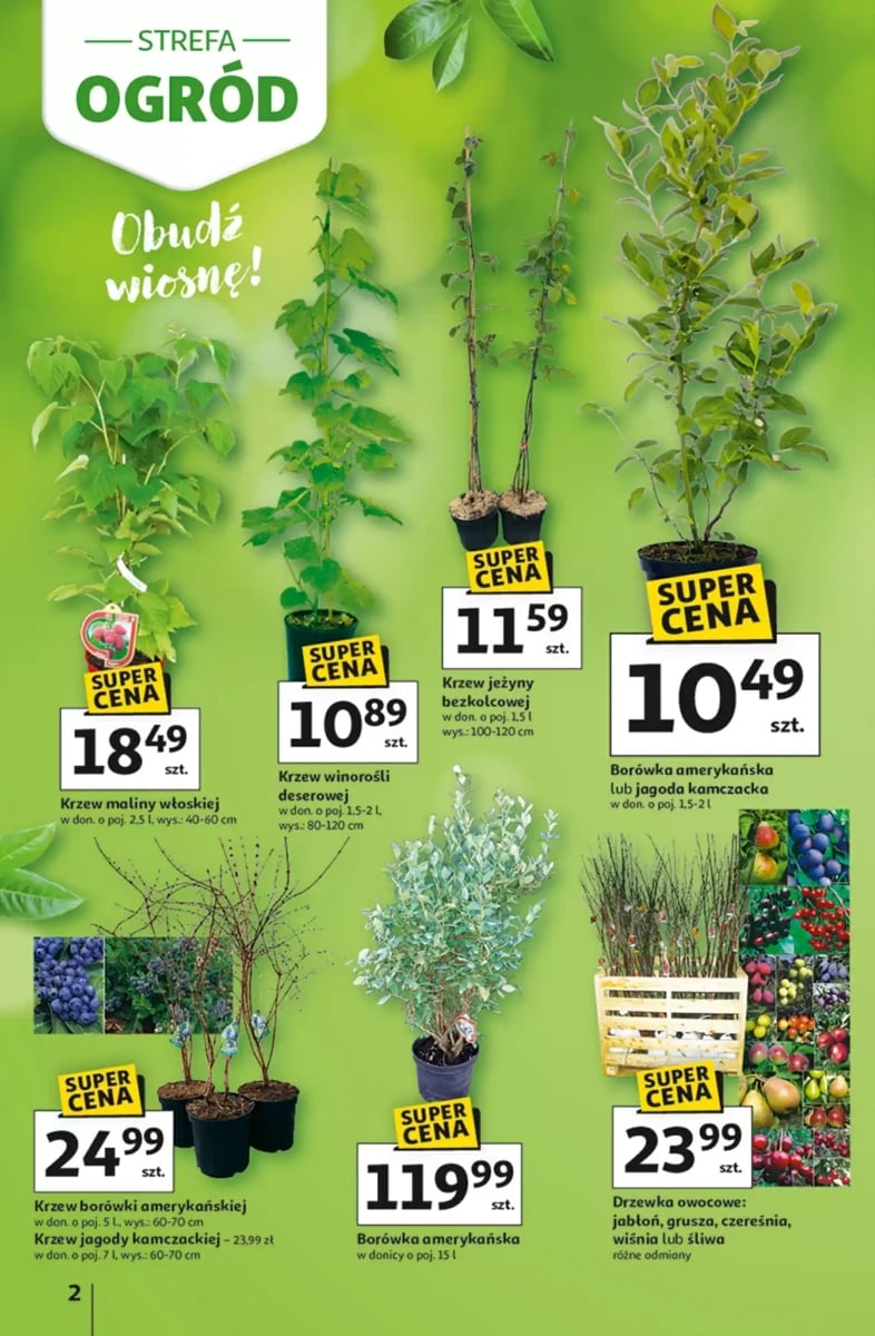 Strona 2 z gazetki Auchan