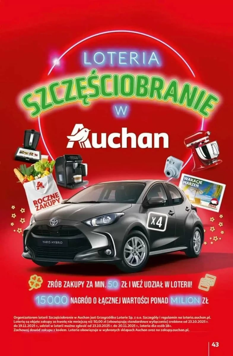 Strona 43 z gazetki Auchan