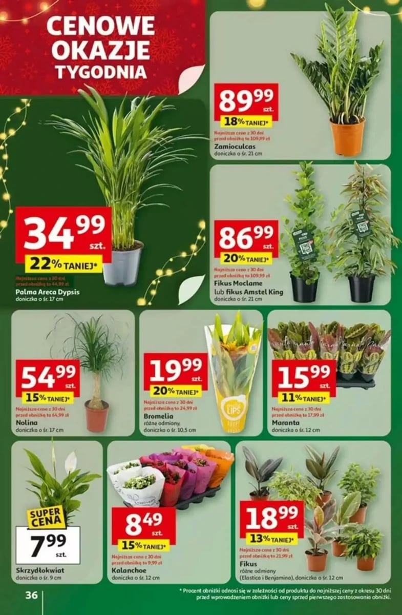Strona 36 z gazetki Auchan