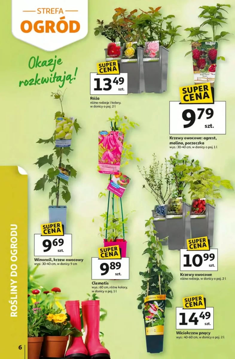 Strona 6 z gazetki Auchan