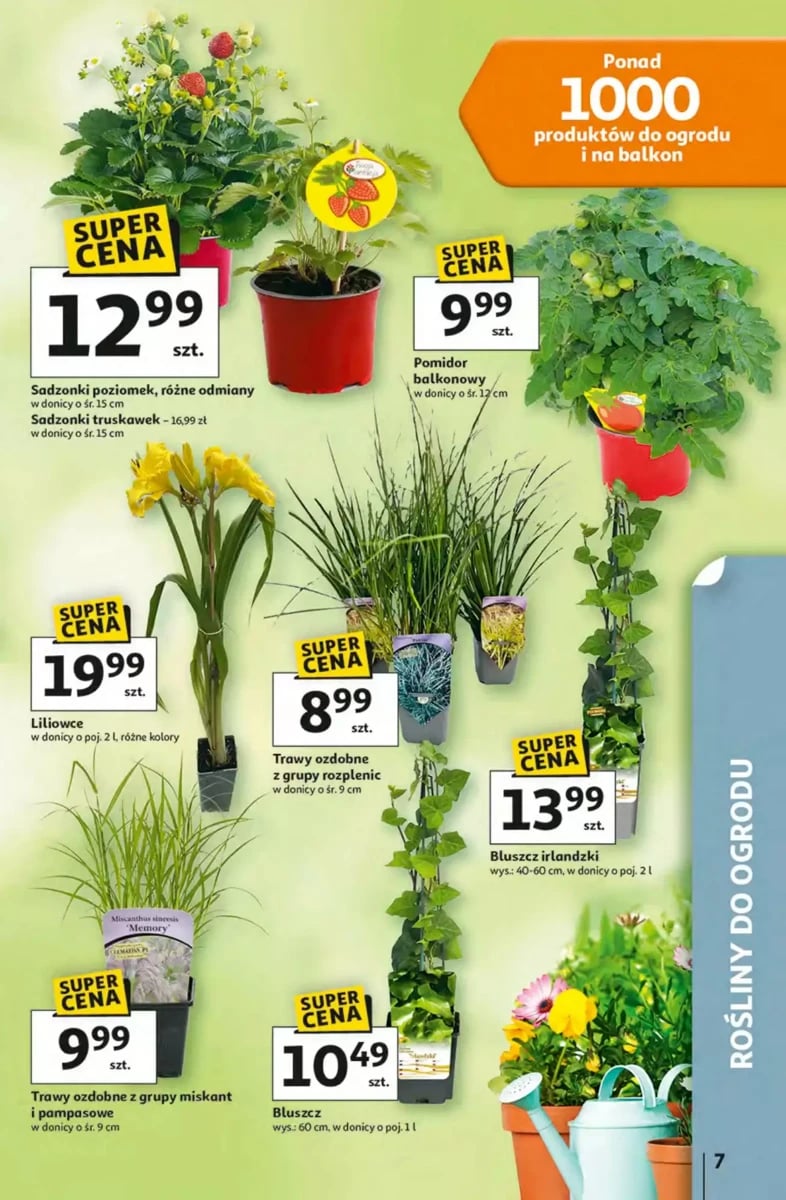 Strona 7 z gazetki Auchan