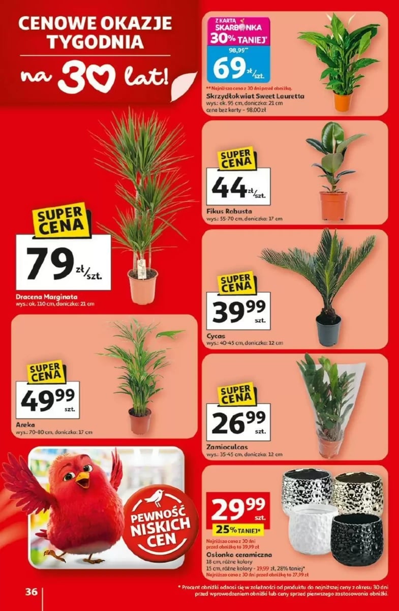 Strona 36 z gazetki Auchan