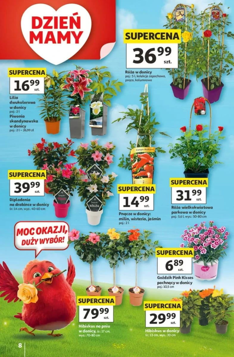 Strona 8 z gazetki Auchan