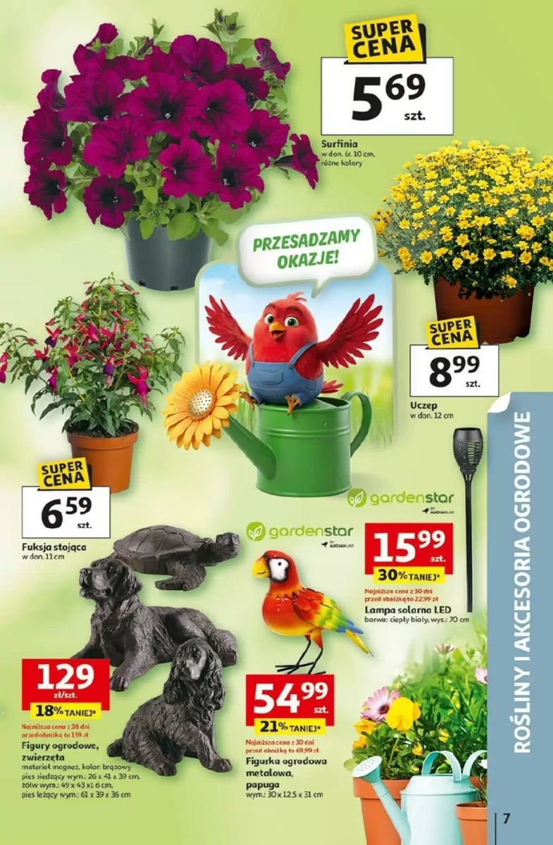 Strona 7 z gazetki Auchan