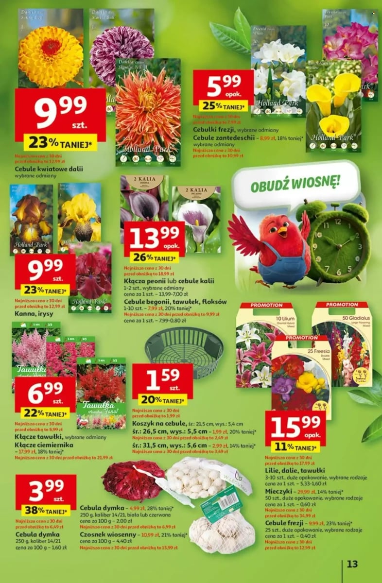 Strona 13 z gazetki Auchan