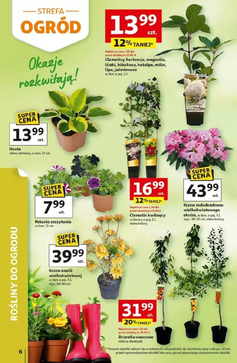 Strona 6 z gazetki Auchan