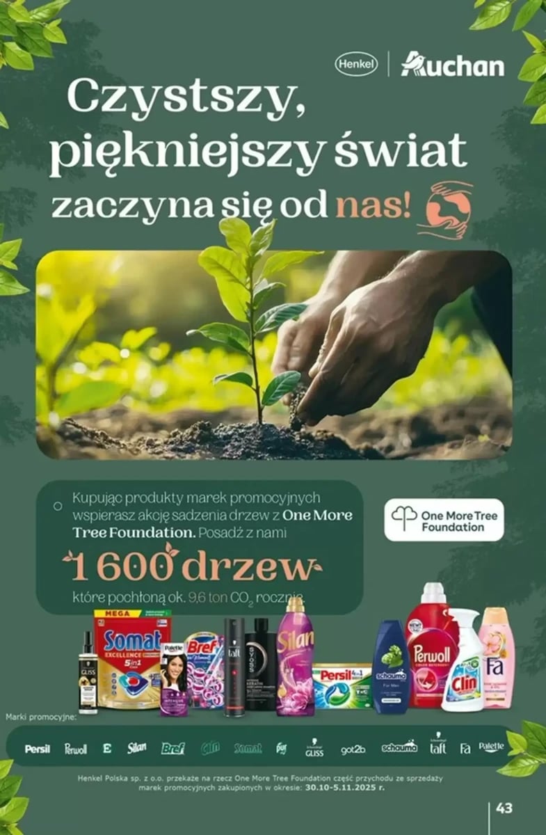 Strona 43 z gazetki Auchan
