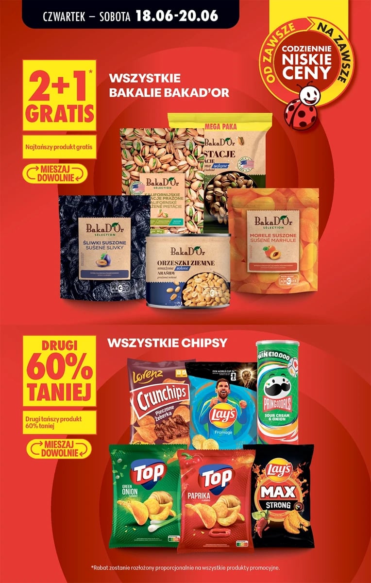 Strona 13 z gazetki Biedronka