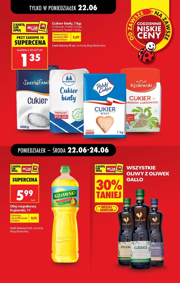 Strona 13 z gazetki Biedronka
