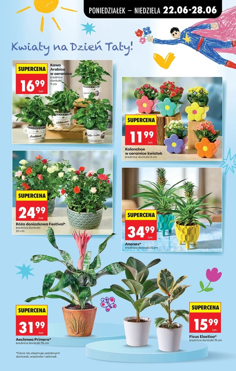 Strona 7 z gazetki Biedronka