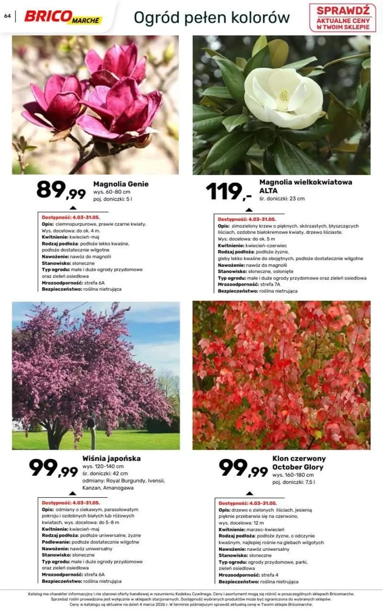 Strona 99 z gazetki Bricomarche