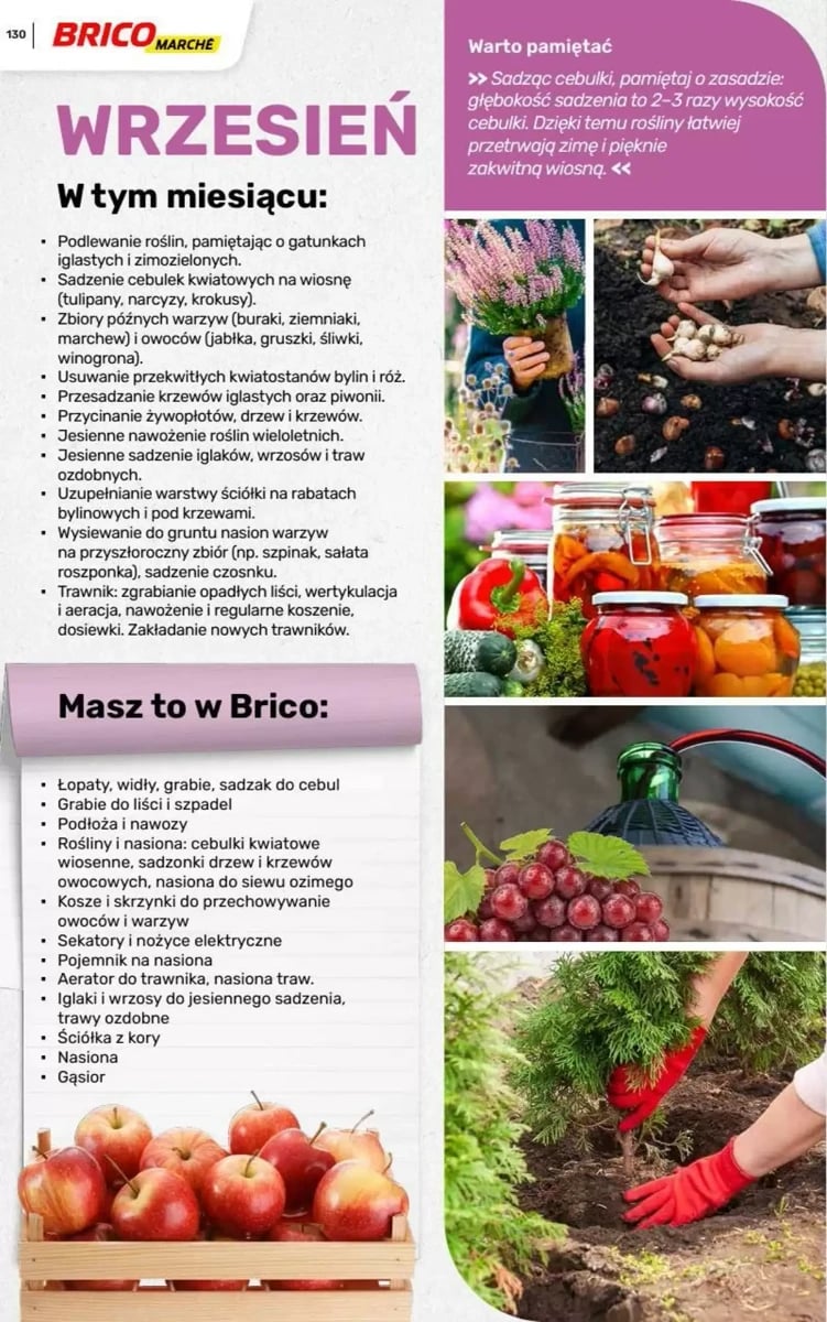 Strona 44 z gazetki Bricomarche