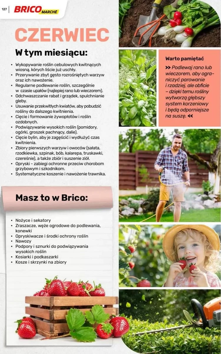 Strona 40 z gazetki Bricomarche