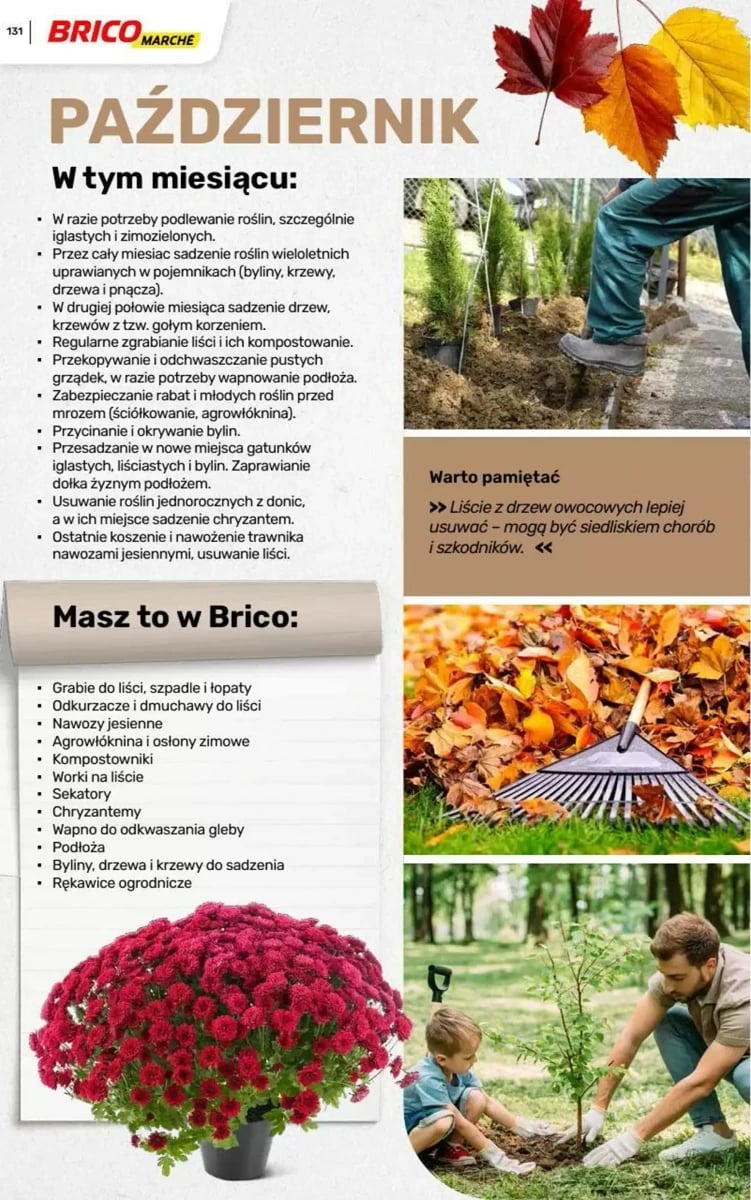 Strona 45 z gazetki Bricomarche