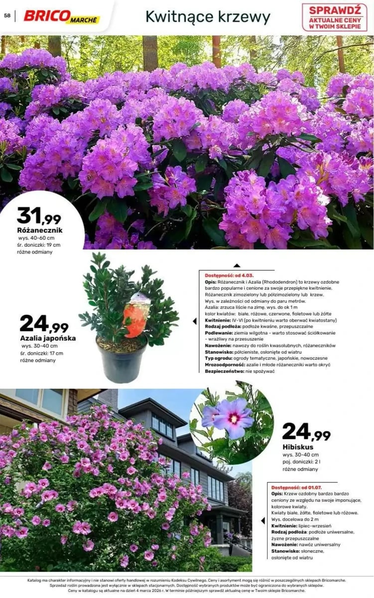 Strona 93 z gazetki Bricomarche