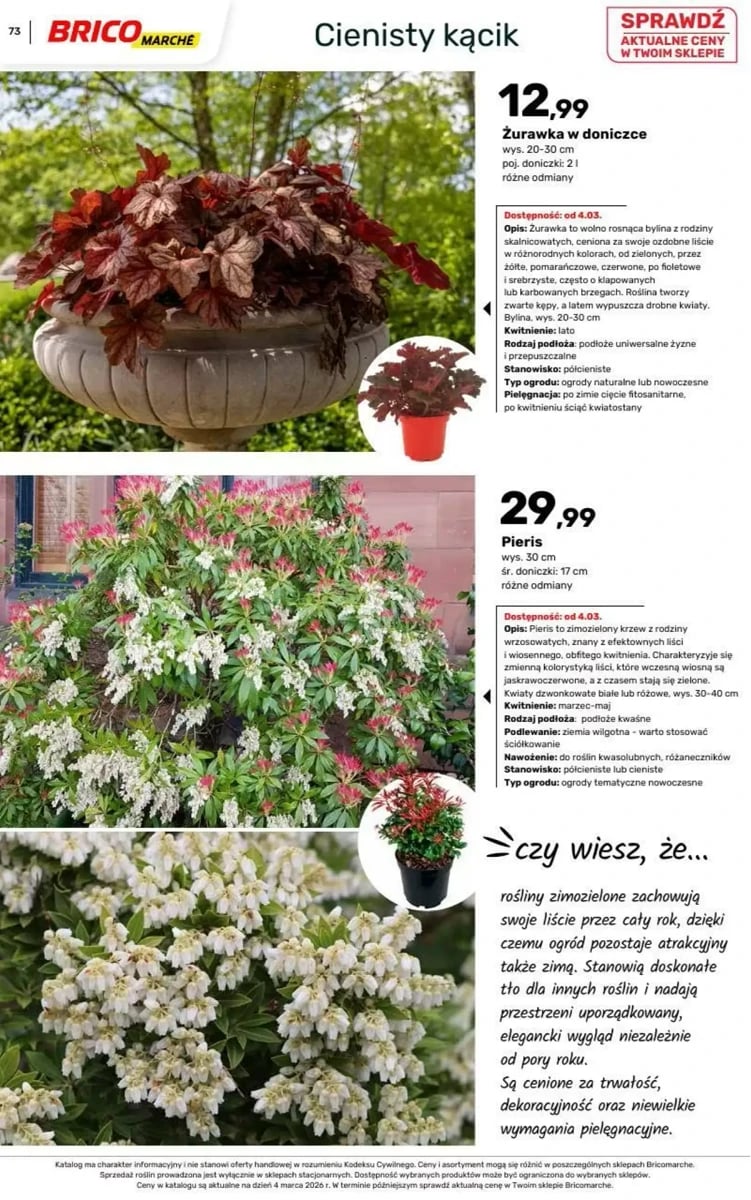 Strona 108 z gazetki Bricomarche