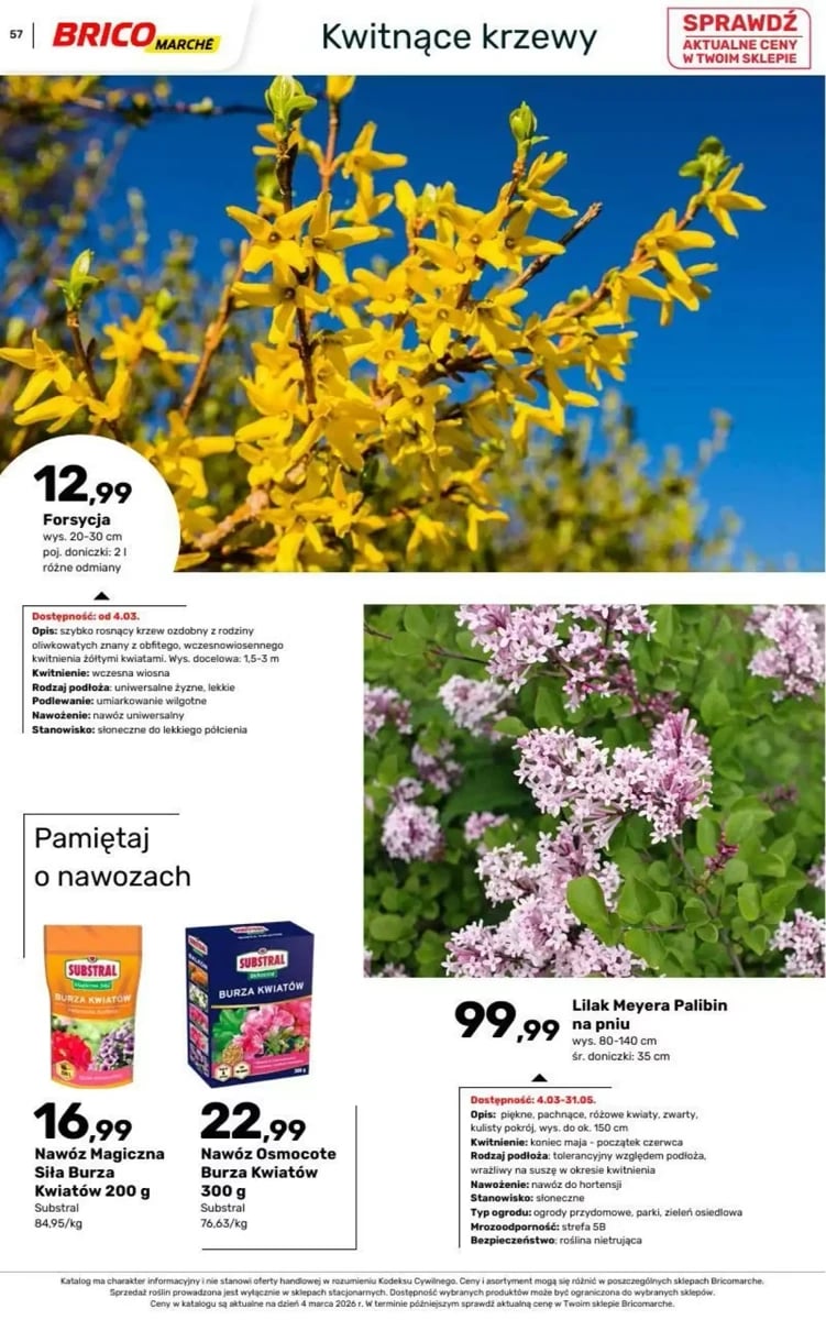 Strona 92 z gazetki Bricomarche
