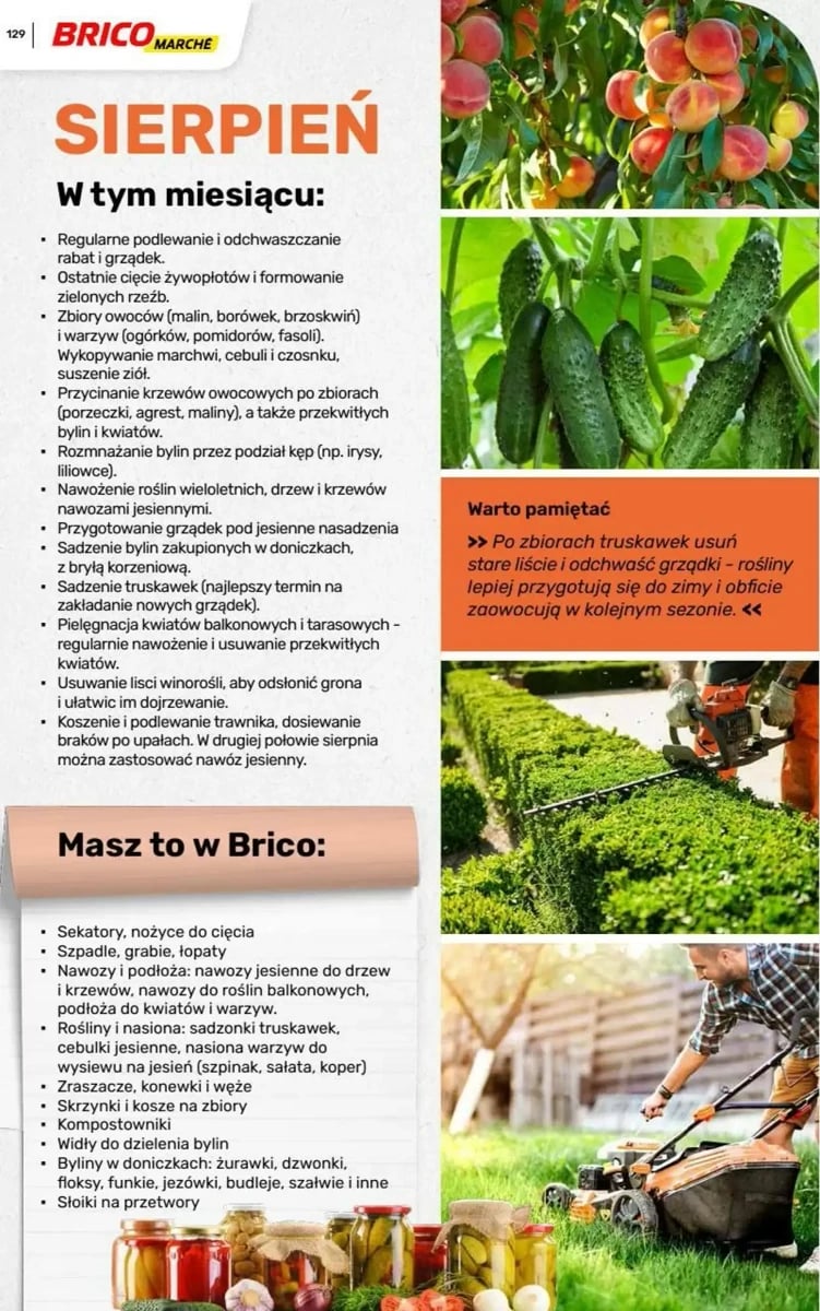 Strona 42 z gazetki Bricomarche
