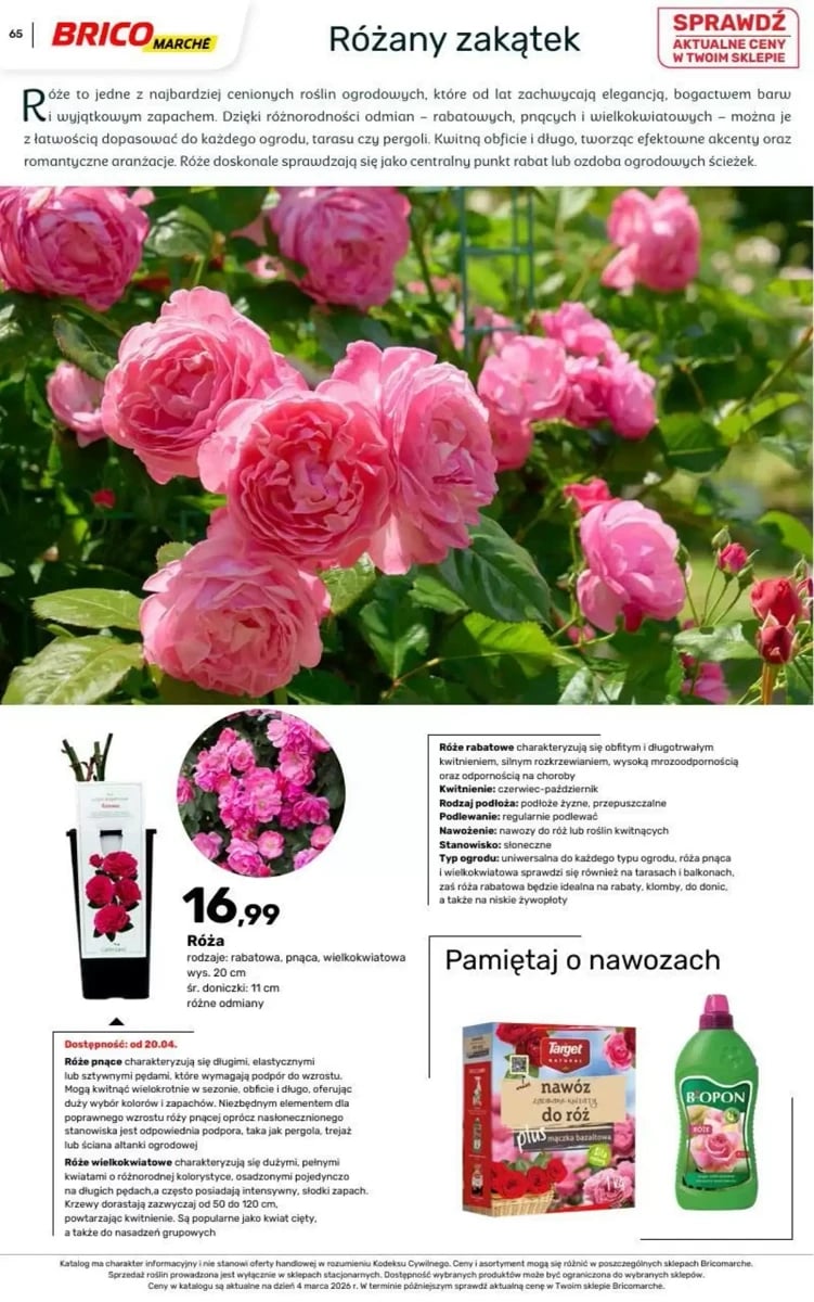 Strona 100 z gazetki Bricomarche